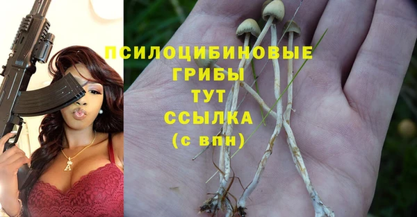MDMA Алексин